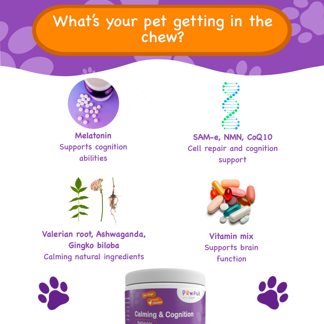 Calming and Cognition Supplement for Dogs