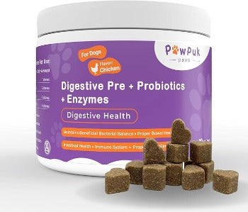 Digestive Health Supplements for Dogs