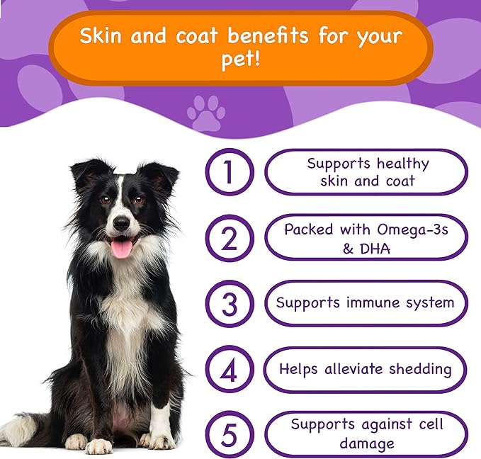 Skin Health Supplement for Dogs