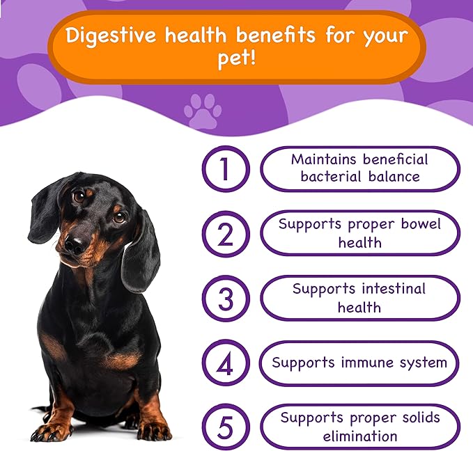 Digestive Health Supplements for Dogs
