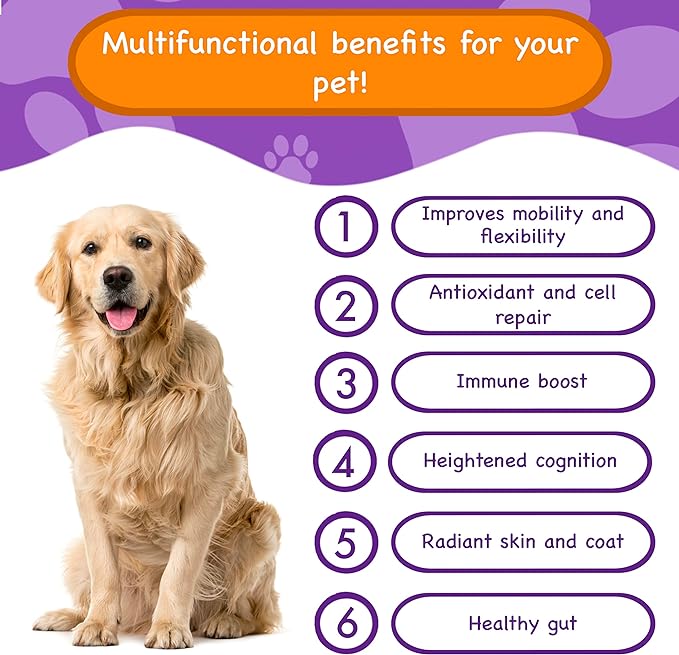 Multifunctional Supplements for Dogs