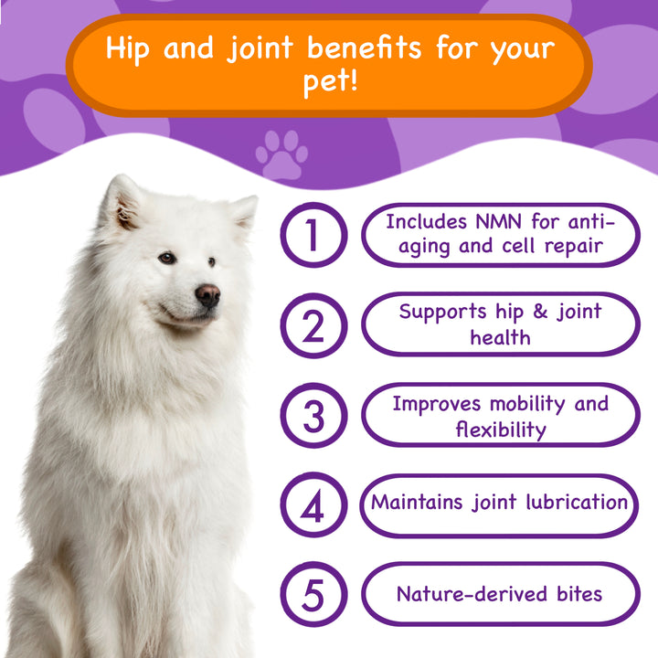 Joint and Mobility Boost for Dogs