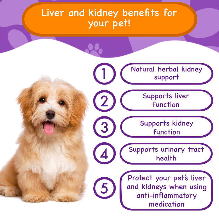 Liver and Kidney Supplement for Dogs